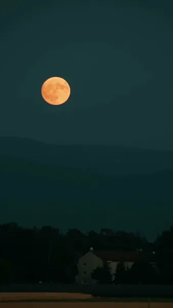 รักสุดใจนายมาเฟีย