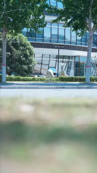 เจ้าหญิงเพราะความผิดพลาด