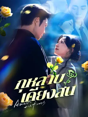 กุหลาบเคียงสน