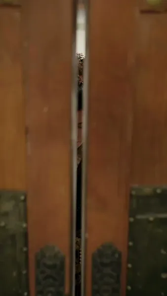 พลิกลิขิตท่านชาย