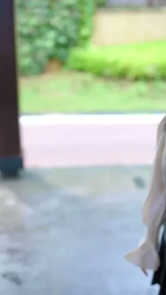 ลางลับจากฝันร้าย