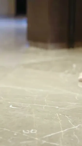 ลางลับจากฝันร้าย