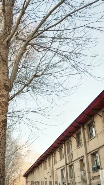 กลเกมโกง(พากย์ไทย)