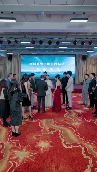 วิวาห์อลเวง(พากย์ไทย)