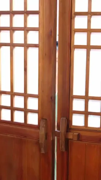 หมอหญิงพิชิตวังเงา