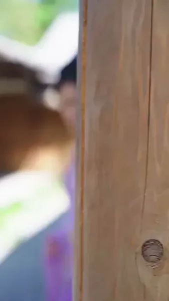 หมอหญิงพิชิตวังเงา