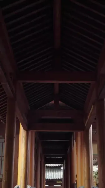 หมอหญิงพิชิตวังเงา