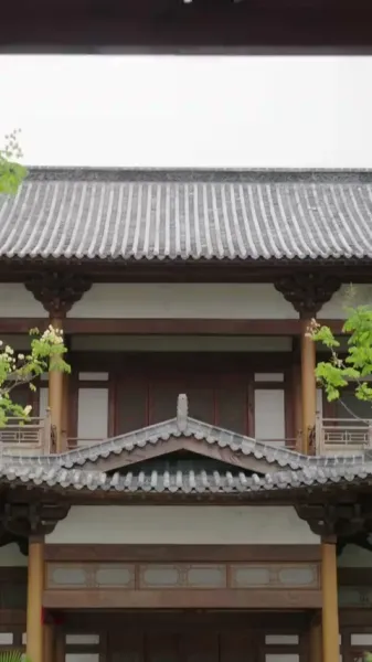 หมอหญิงพิชิตวังเงา