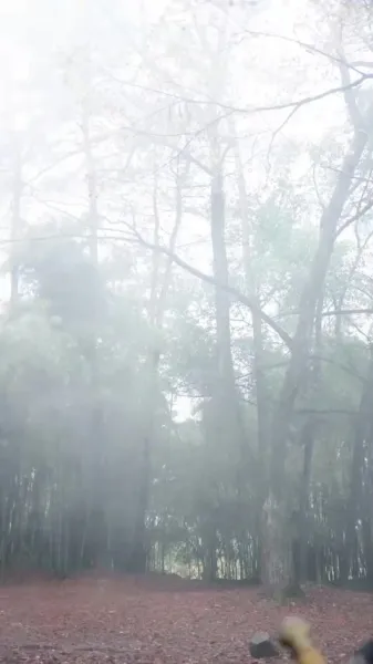 ชื่อ เลือดพิฆาต