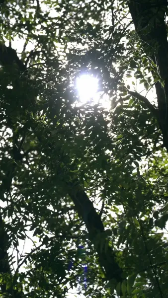 หนุ่มเก็บของฉันเป็นคุณชาย