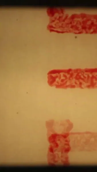 ยุค 80 นี้ ภรรยาผมไม่ธรรมดา