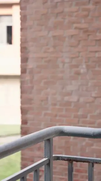 สามีอัจฉริยะของฉัน