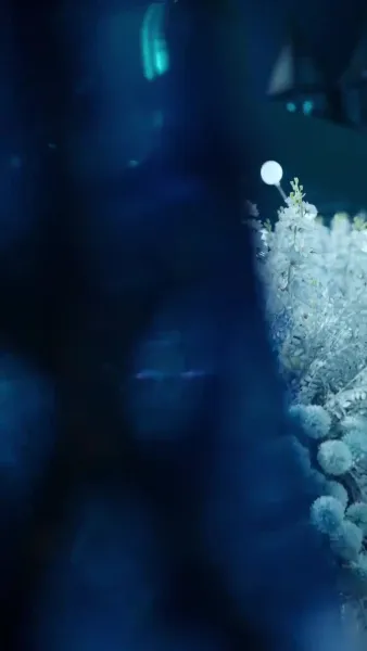 (พากย์เสียง)รักวุ่นบ้านสองพี่น้อง