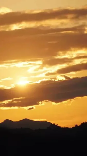 บ่มเพาะจักรพรรดิ เพื่อการแก้แค้น