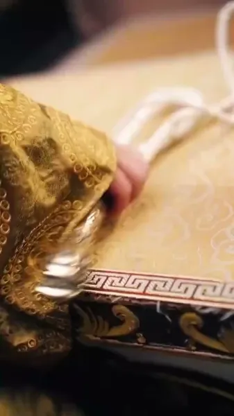 บ่มเพาะจักรพรรดิ เพื่อการแก้แค้น