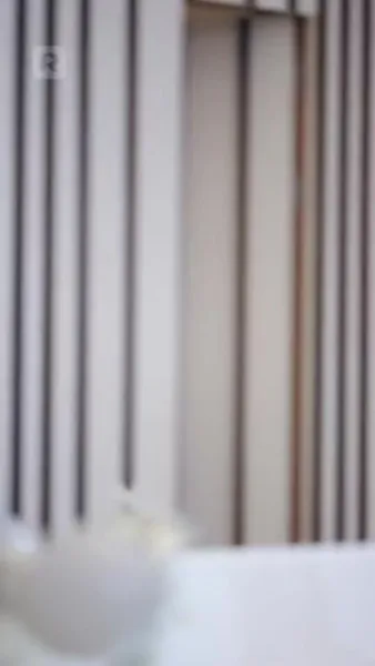 เมียศรีพาสู่ฝัน