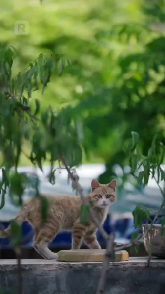 เมียศรีพาสู่ฝัน