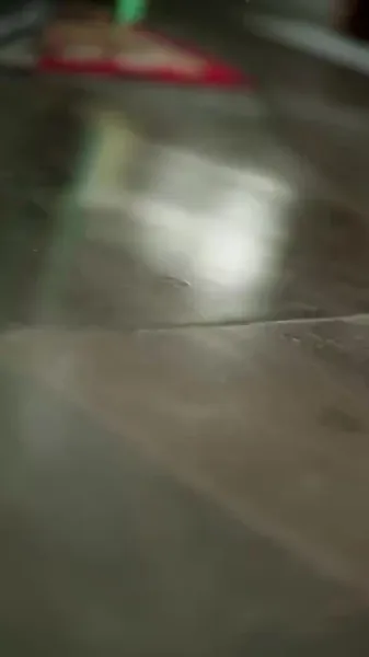 จักรพรรดินีด้วยแรงแค้น