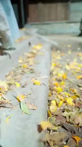 จักรพรรดินีด้วยแรงแค้น