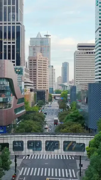 แต่งด่วนได้สามีหล่อรักหมดใจ