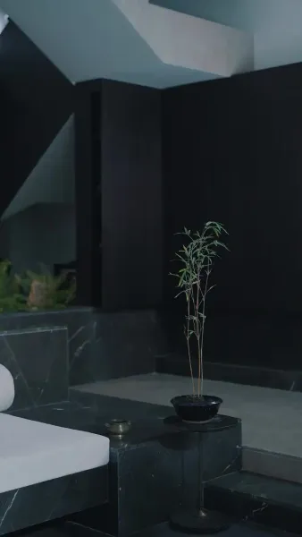 กลยุทธ์อดีตภรรยาคุณฟู่รักแต่ฉัน