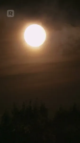 สายใยรักที่ไม่อาจเอ่ย