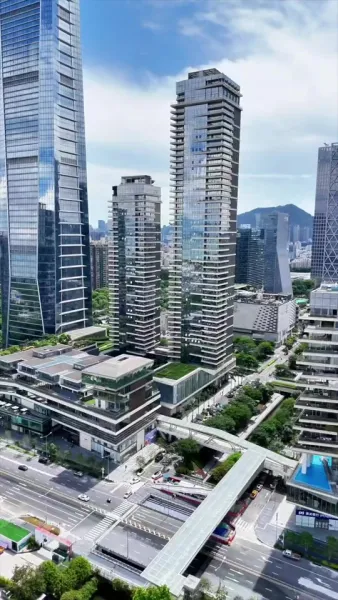 บอดี้การ์ดมือหนึ่ง ของซีอีโอสาว