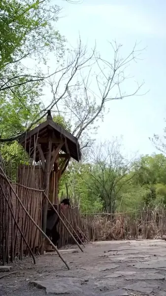 พวกเขาเคี้ยวเปลือกไม้, ฉันกินสเต็ก