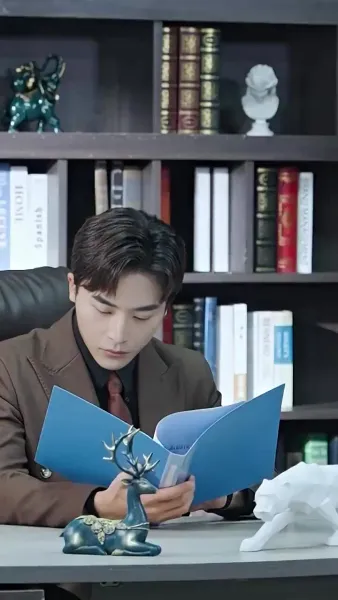 หลังจากการหย่าร้าง, สามีเก่าขอคืน