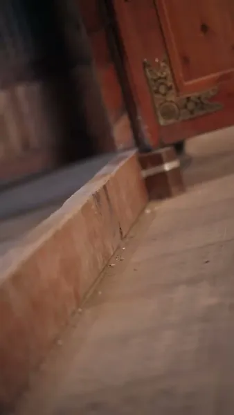 ลิขิตรักเจ้าสำนักหมอยา