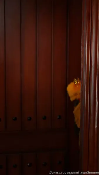 คุณหนูตัวจริงมาจากหมู่บ้านคนร้าย