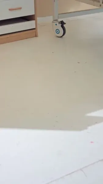 สั่งแค้นได้เลยค่ะ ท่านราชินี