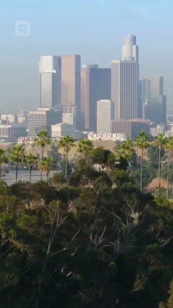 วิวาห์กำมะลอกับซีอีโอหมื่นล้าน