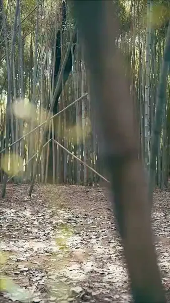 [พากย์ไทย]จอมยุทธผู้พิทักษ์