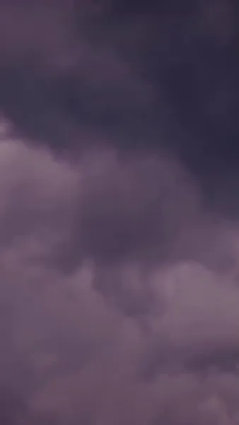 （พากย์ไทย）คู่หมั้นผู้เป็นเพียงโล่รัก