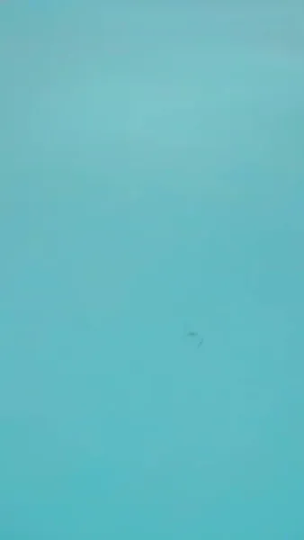 [พากย์ไทย]หญ้าอ่อน กลับมาแล้ว1