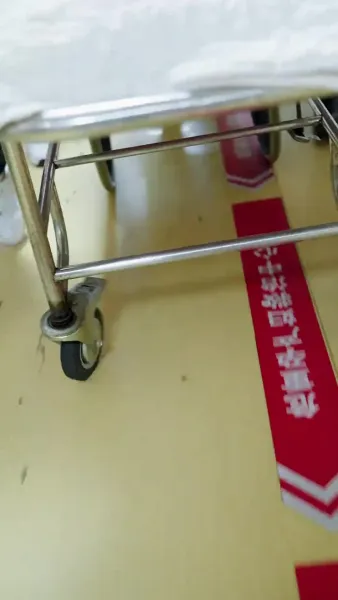 การกลับมาของคุณหนูผู้เป็นที่รัก