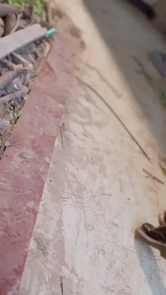 การกลับมาของคุณหนูผู้เป็นที่รัก