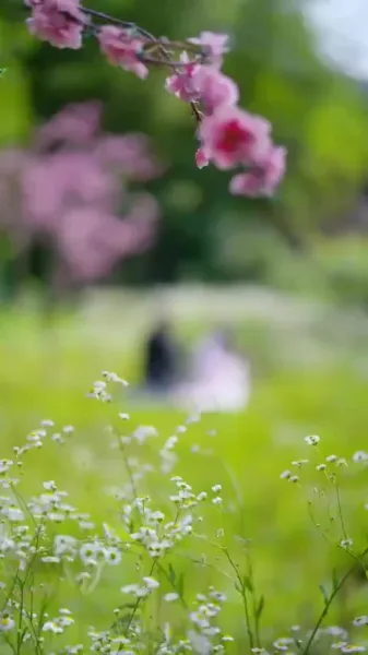 รักต้องห้ามของนางยักษ์