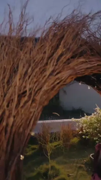 ราตรีในฤดูใบไม้ผลิ