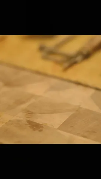 สามีฉันคือศาสตราจารย์