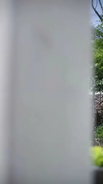 สามีฉันคือศาสตราจารย์