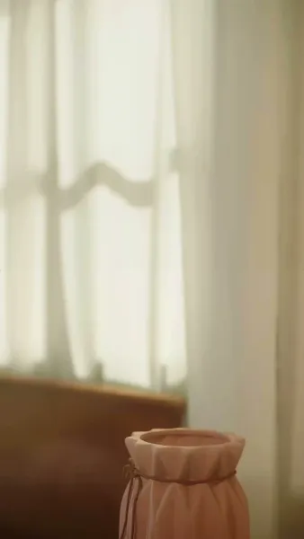 สามีฉันคือศาสตราจารย์