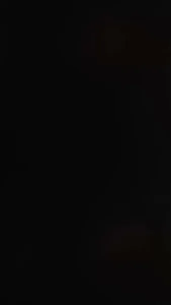 กุหลาบกับสนภูเขา