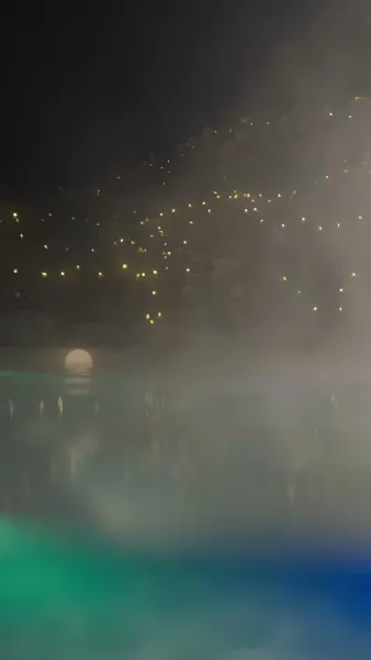 กุหลาบกับสนภูเขา