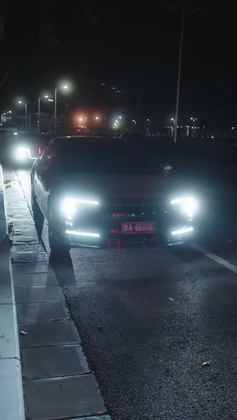 กุหลาบกับสนภูเขา