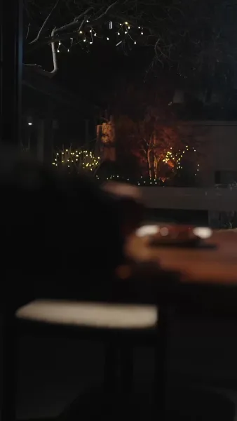 กุหลาบกับสนภูเขา