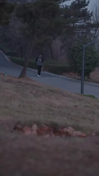 กุหลาบกับสนภูเขา