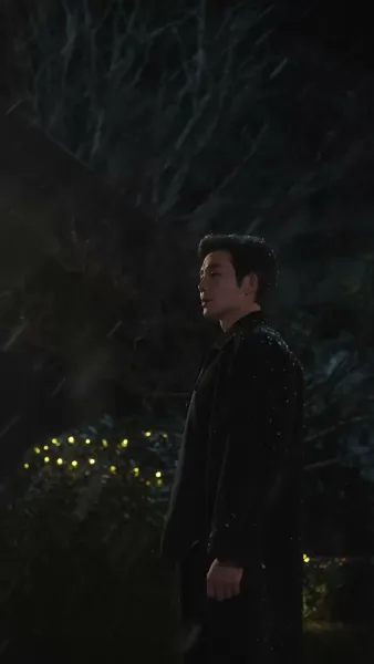 กุหลาบกับสนภูเขา