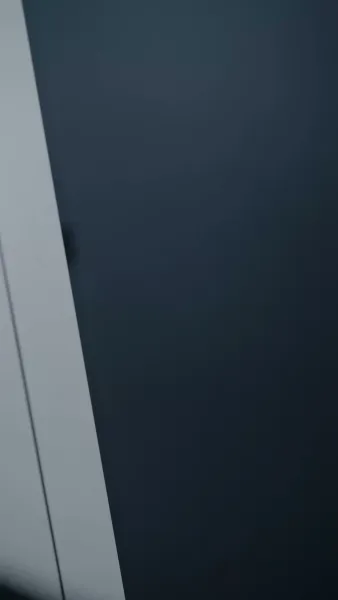 กุหลาบกับสนภูเขา